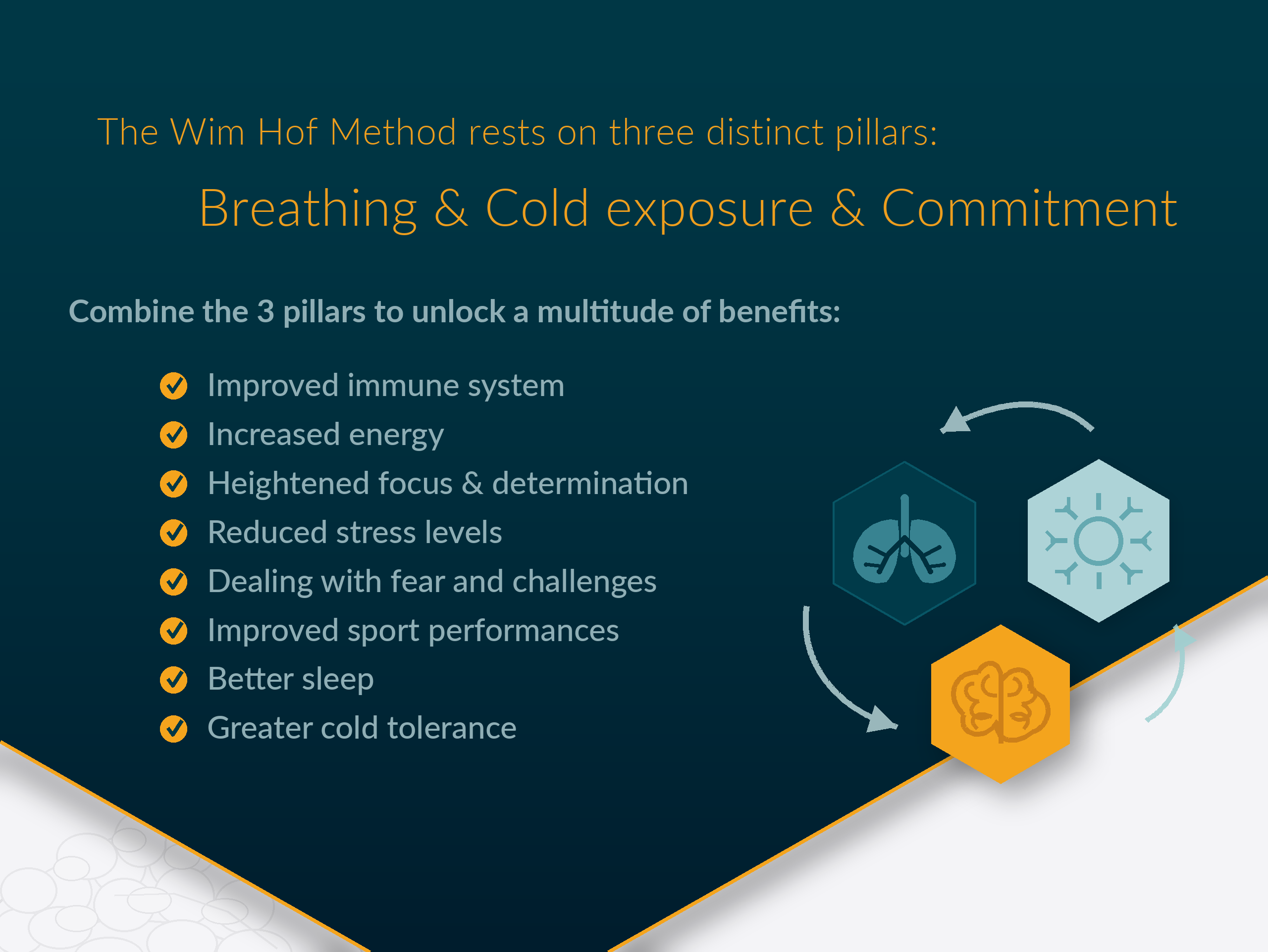 The Wim Hof Method rests on three pillars: breathing, cold exposure and commitment, with benefits including improved immune system, increased energy, heightened focus, reduced stress, better sleep and greater cold tolerance.